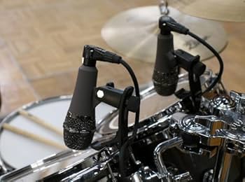 Amazon.com: Telefunken M81-SH | Low Profile Dynamic Cardioid